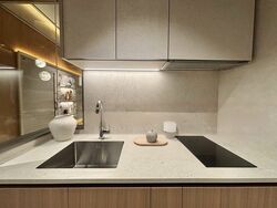 Orchard Boulevard (D10), Condominium #496117531